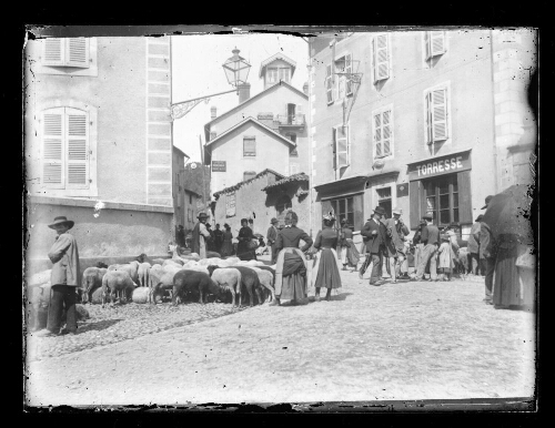 Marché aux moutons, rue Delzons