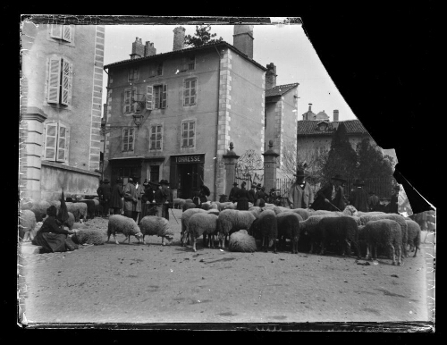 Marché aux moutons, rue Delzons