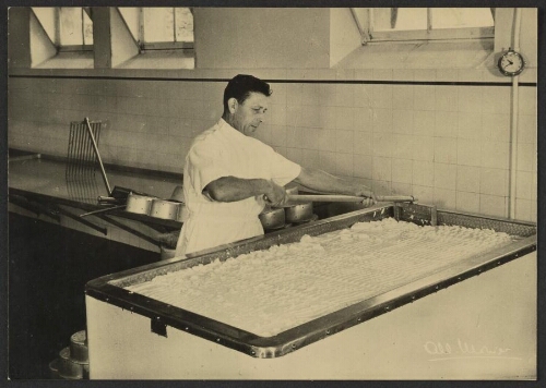 Fabrication du Roquefort
