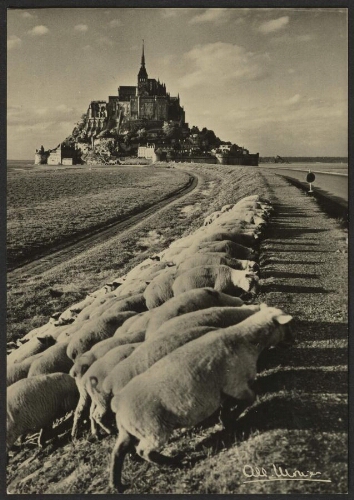 Le Mont Saint-Michel – Digue et les moutons